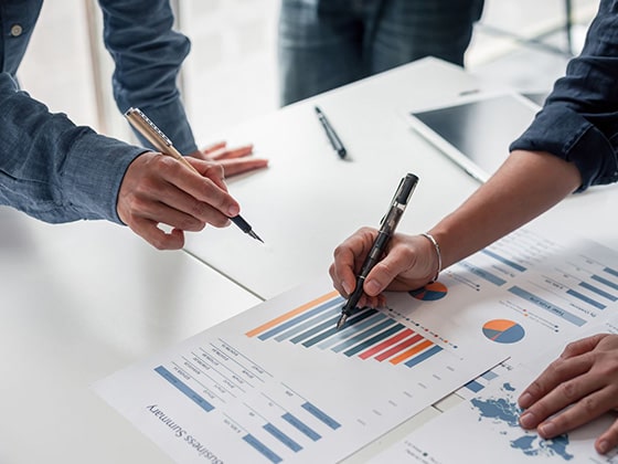 Serviços de Consultoria Empresarial